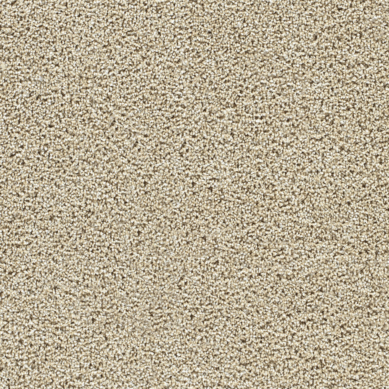 Fresh Start II - Sunflower