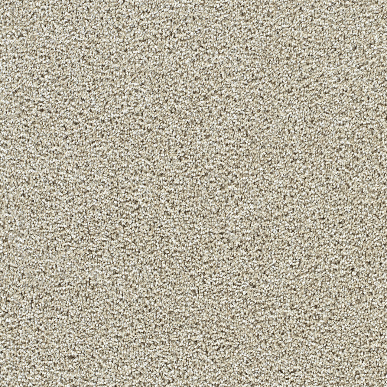 Fresh Start I - Wheat Grass