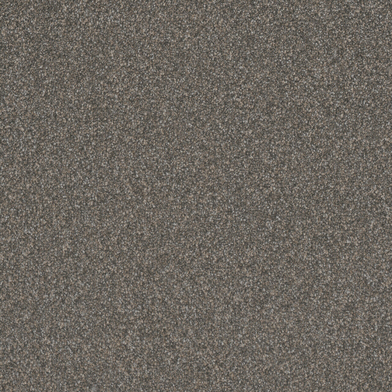 Pure Gold I - Graphite