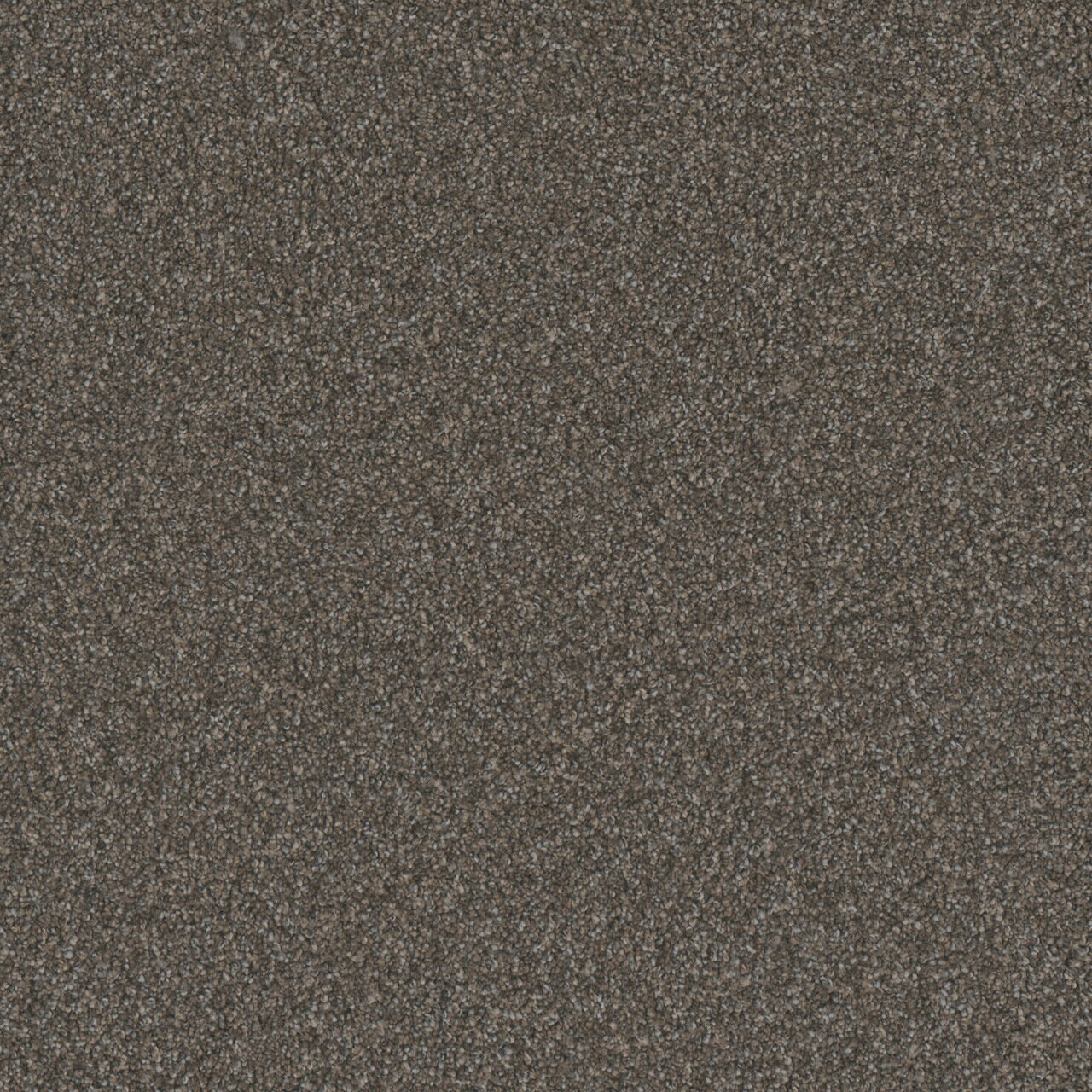 Pure Gold II - Pewter