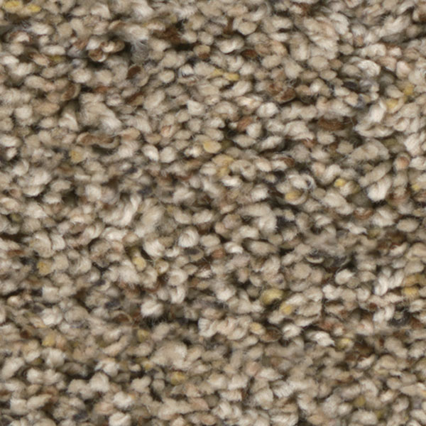 Bourbon Street I - Cadence