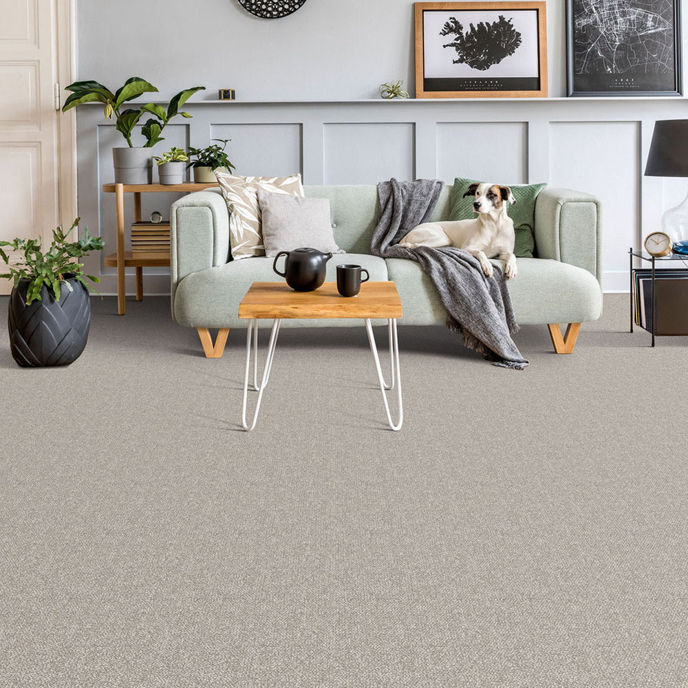 Ponderosa - Molasses