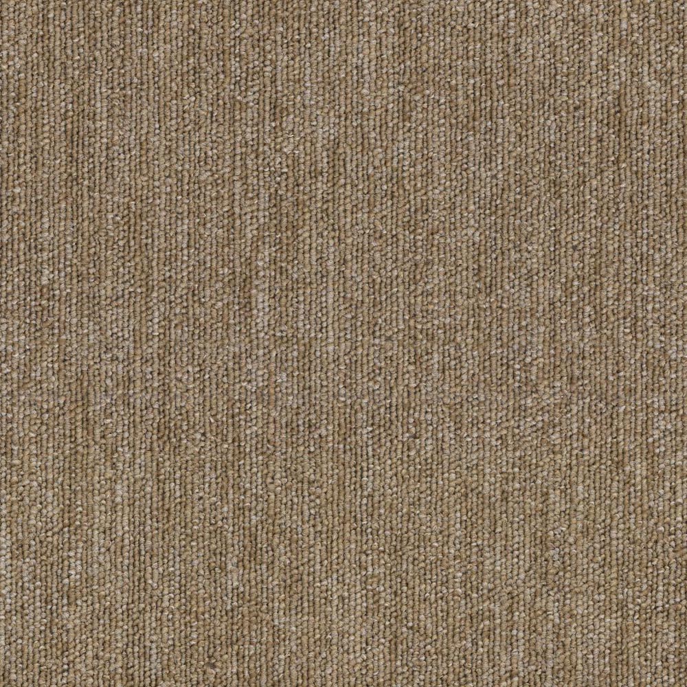 Performer 20 - Ample