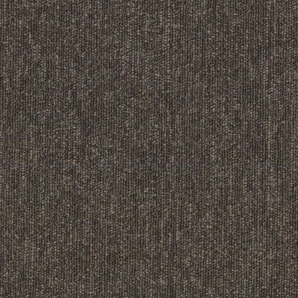 Performer 20 - Scads