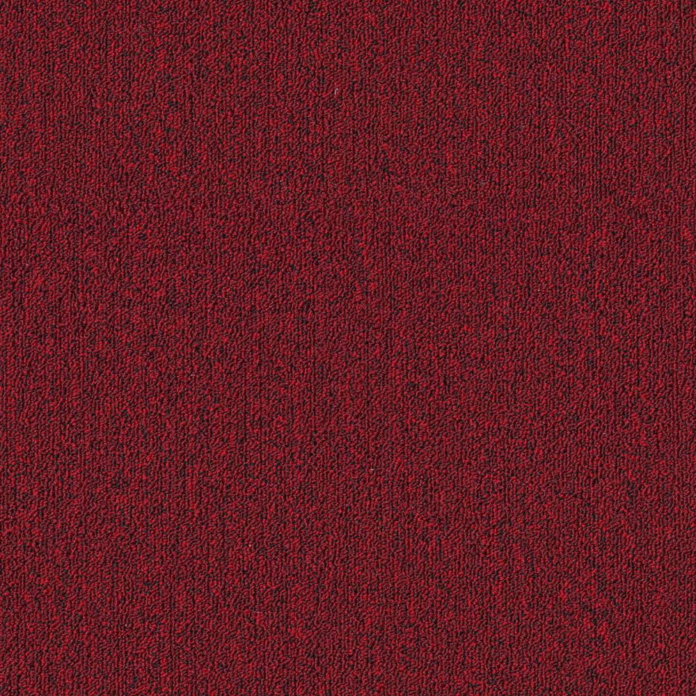 Performer 20 - Thrive