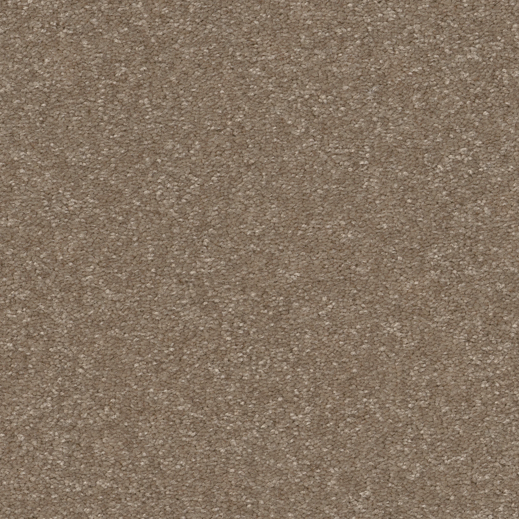 New Tradition I - Cameo