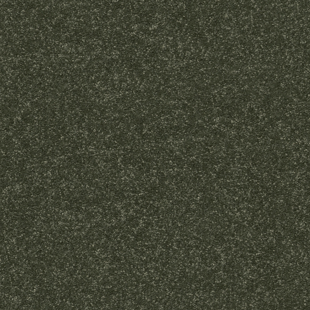 New Tradition II - Rerooted Nature