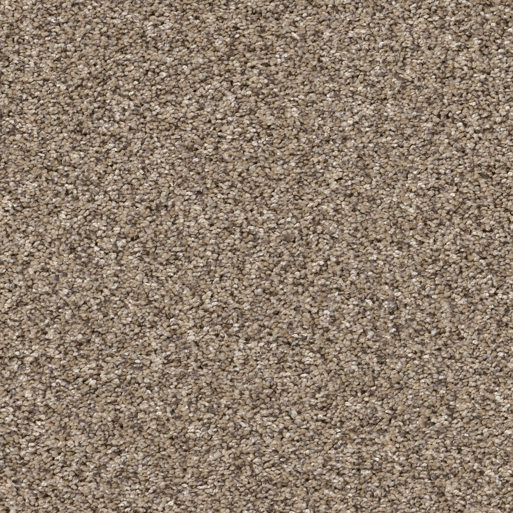 Serenade I 15' - Sea Shell