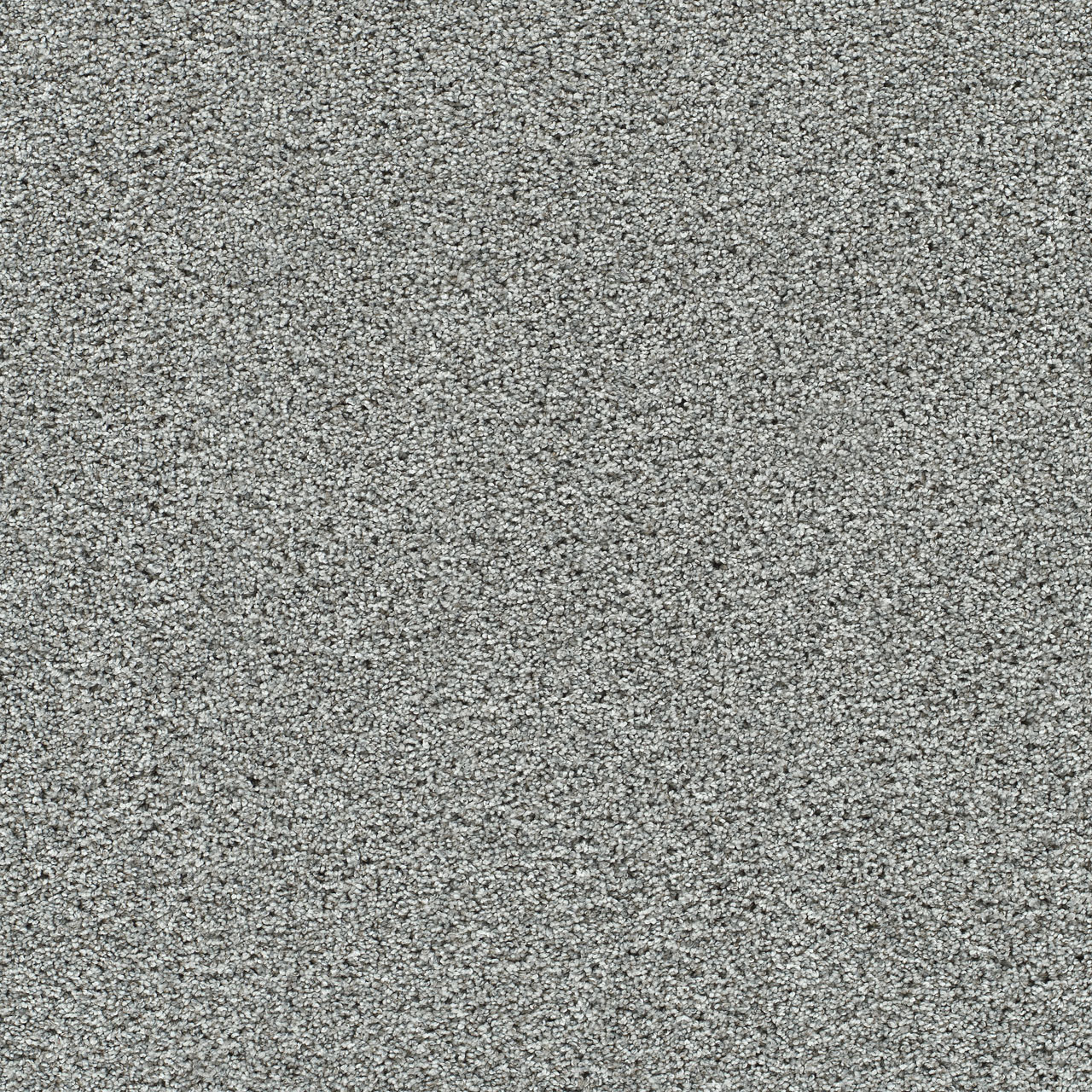 Artistic I - Winter Blues