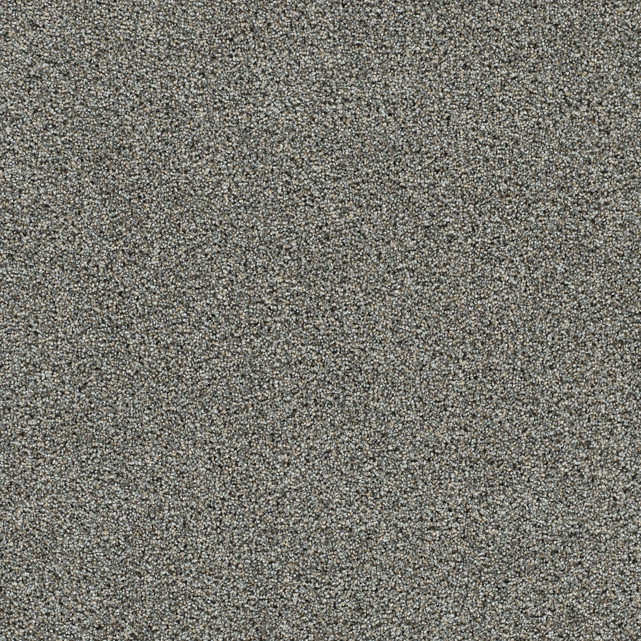 Artistic III - Elmridge