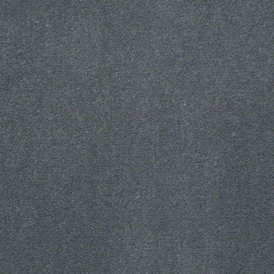 Alliance 36 - Blue Spruce