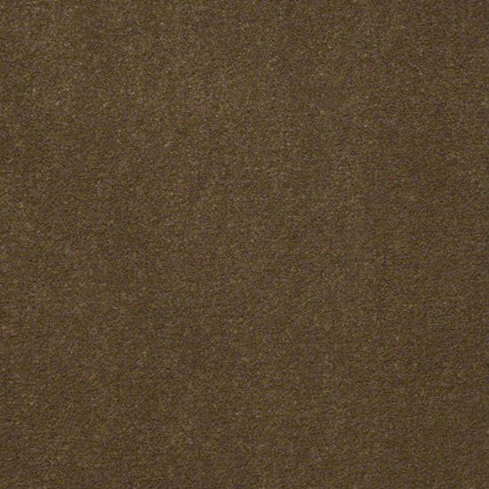 Alliance 30 - Oilve Twist