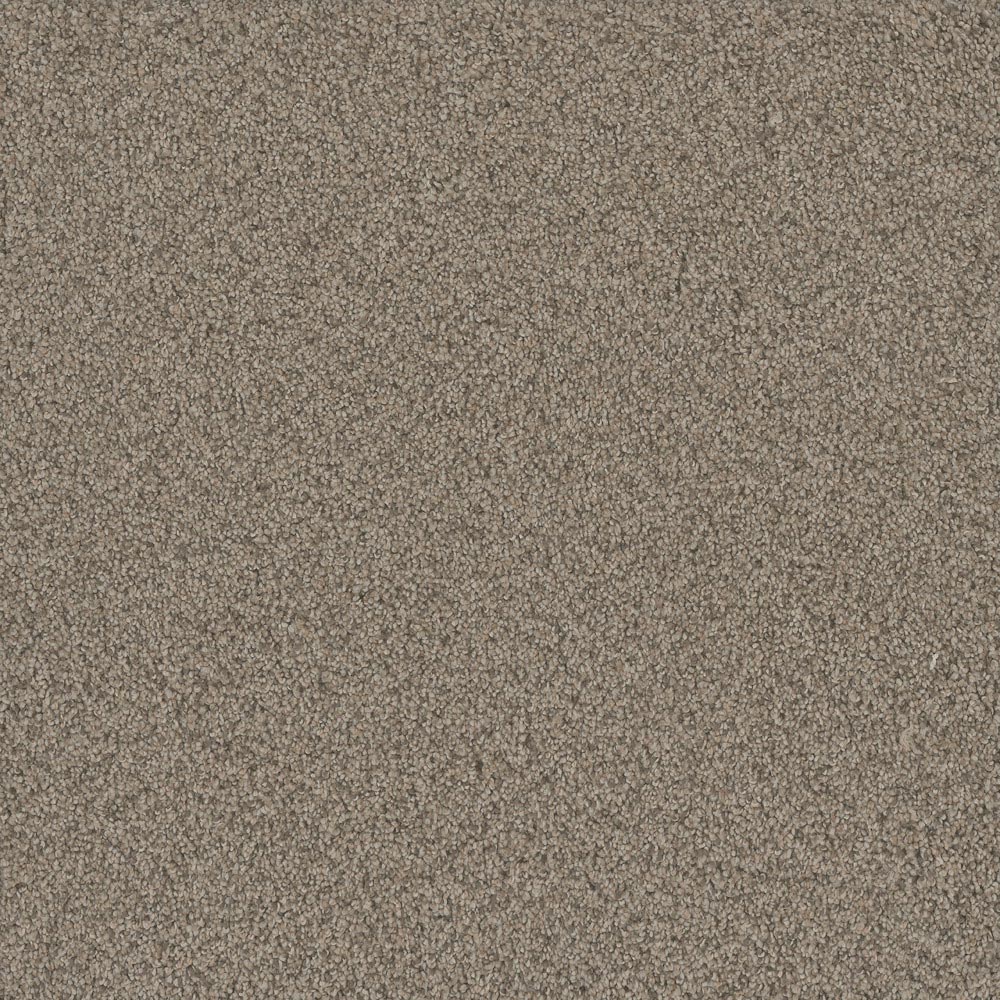 Fashion Flair I - Meadowlark