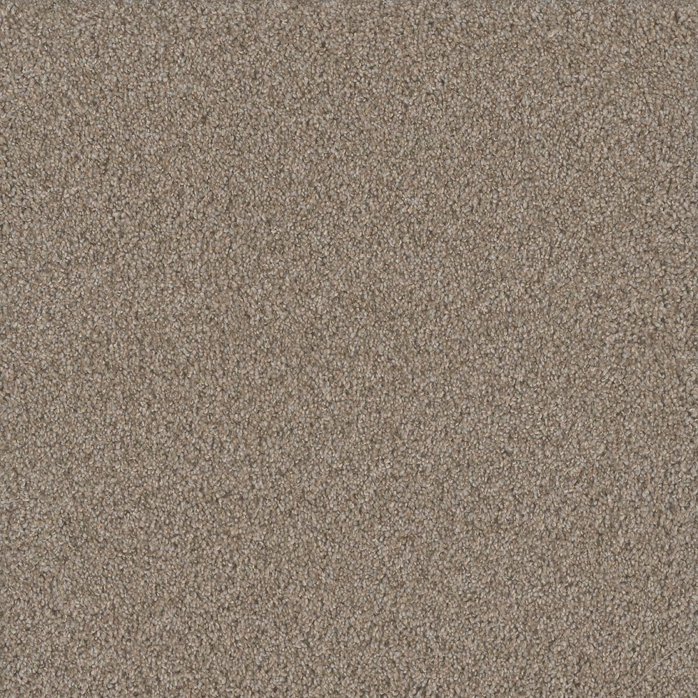 Fashion Flair III - Ambiance