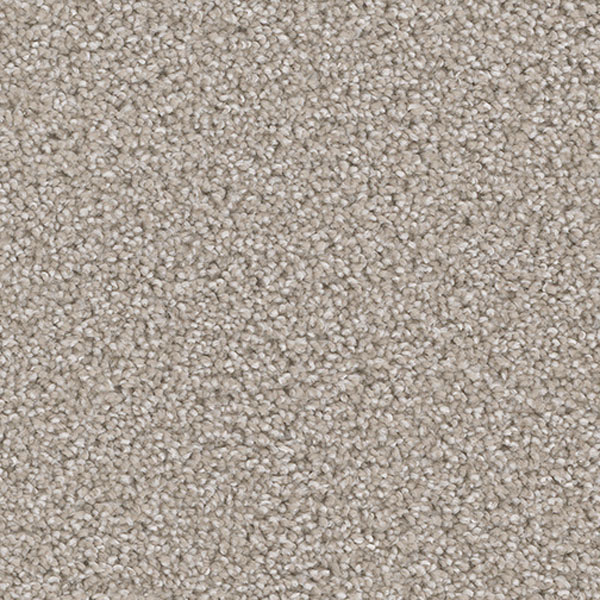 Blockbuster Plus - Clam Shell