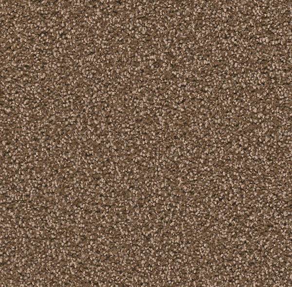 Blockbuster Plus - Black Walnut