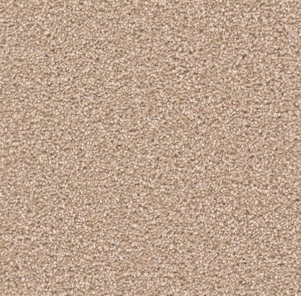 Blockbuster Plus - Sawgrass