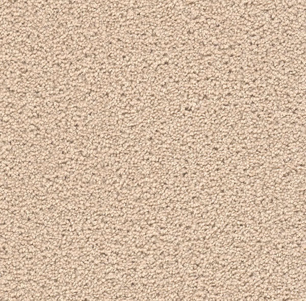 Blockbuster Plus - Eggshell