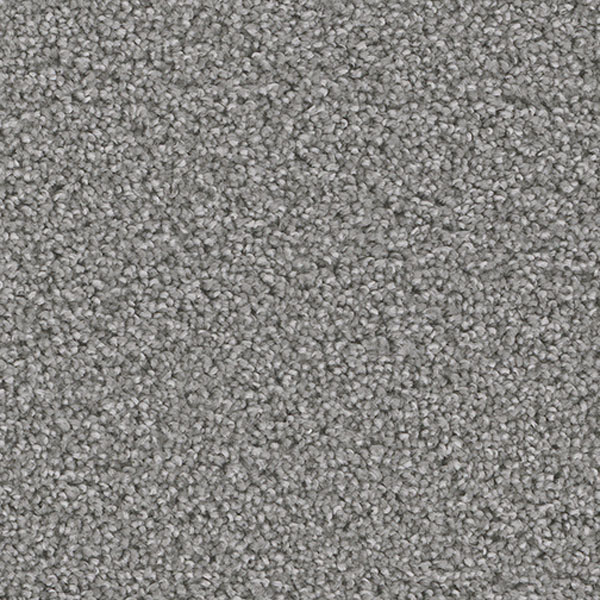 Blockbuster Plus - Stellar