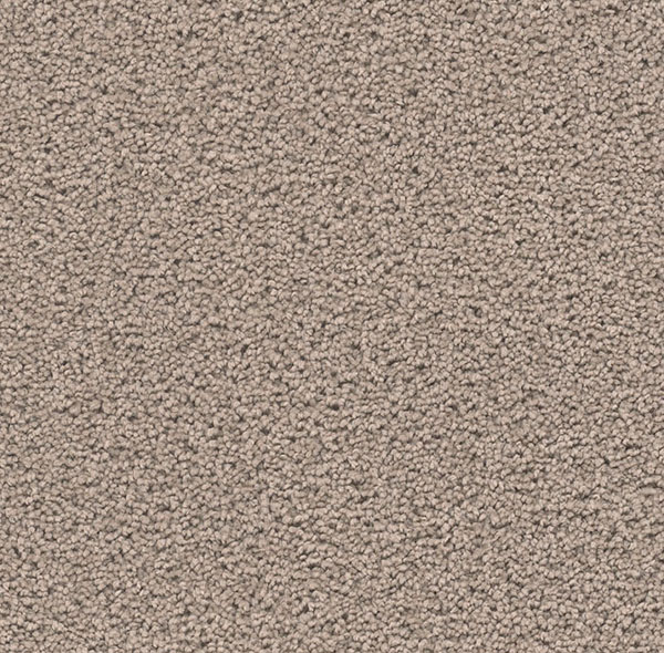 Blockbuster Plus - Castle