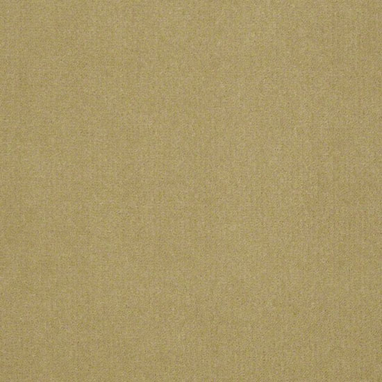 Alliance 36 - Tuscan Gold