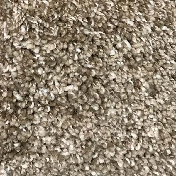 Imagination II - Acorn