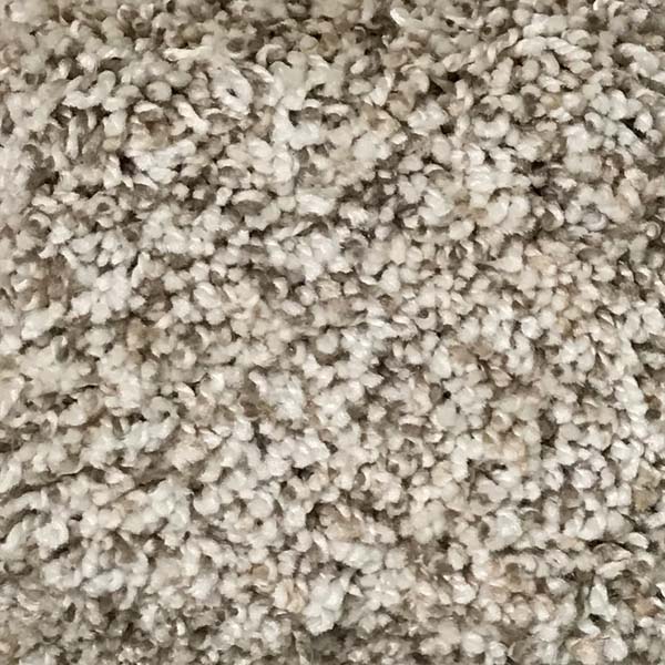 Fascination I - Seashell