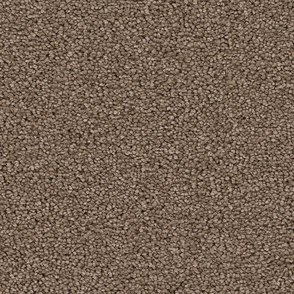 Pacific Heights I - Cocoa