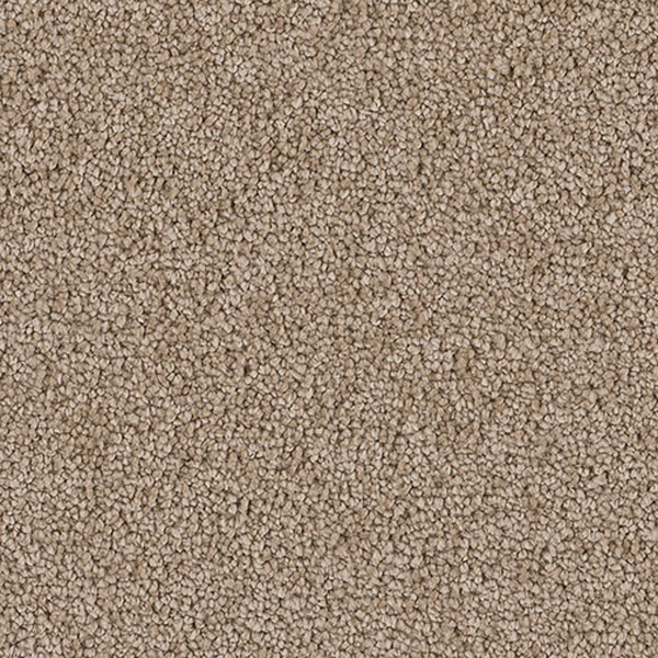 Pacific Heights II - Mushroom