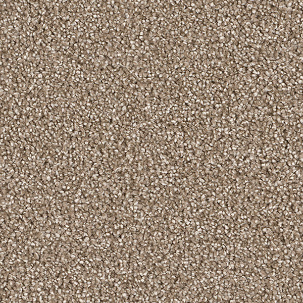 Pacific Heights III - Quail