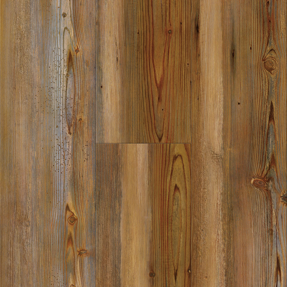 Osprey - Cumberland Pine